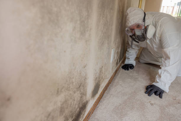 Carpet water damage restoration in Wyandanch, NY